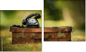 Диптих