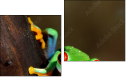 Диптих