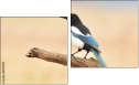 Диптих