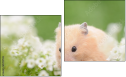 Диптих