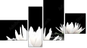 Фортык
