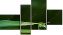 Фортык