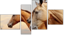 Фортык