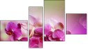 Фортык