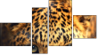 Фортык