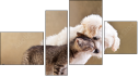 Фортык