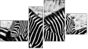 Фортык