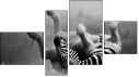 Фортык