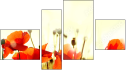 Фортык