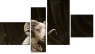 Фортык