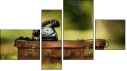 Фортык