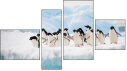 Фортык
