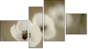 Фортык