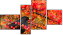 Фортык