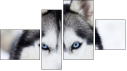 Фортык