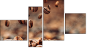 Фортык