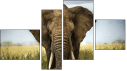 Фортык