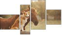Фортык