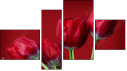 Фортык