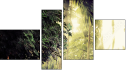 Фортык