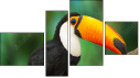 Фортык