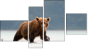 Фортык