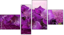 Фортык
