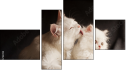 Фортык