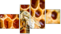 Фортык