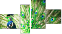 Фортык
