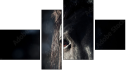 Фортык
