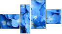 Фортык