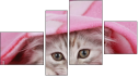 Фортык