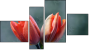 Фортык