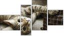 Фортык