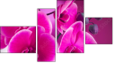 Фортык