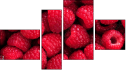 Фортык
