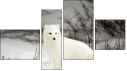 Фортык