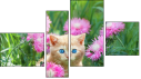 Фортык