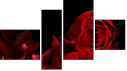 Фортык