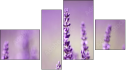 Фортык
