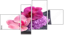 Фортык