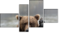Фортык