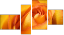 Фортык