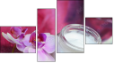 Фортык