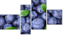 Фортык