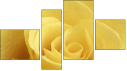 Фортык