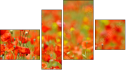 Фортык