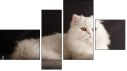 Фортык