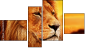 Фортык